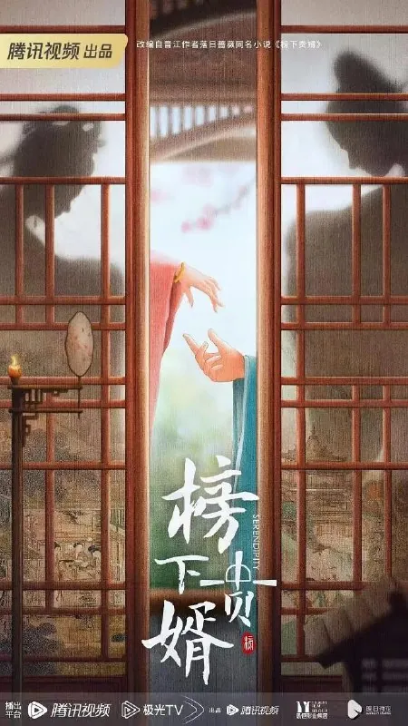 榜上佳婿 电视剧