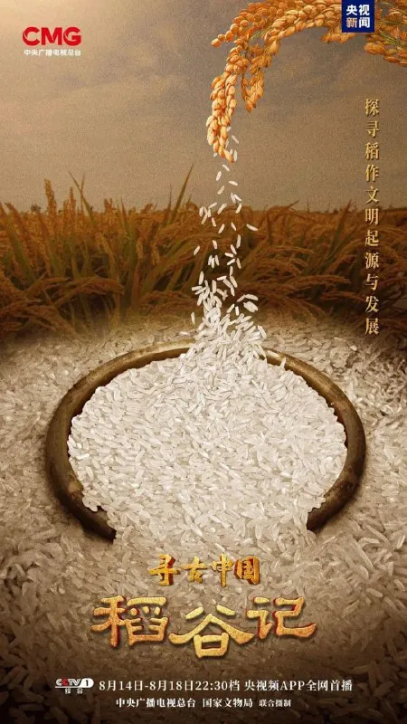 寻古中国·稻谷记 学习资料