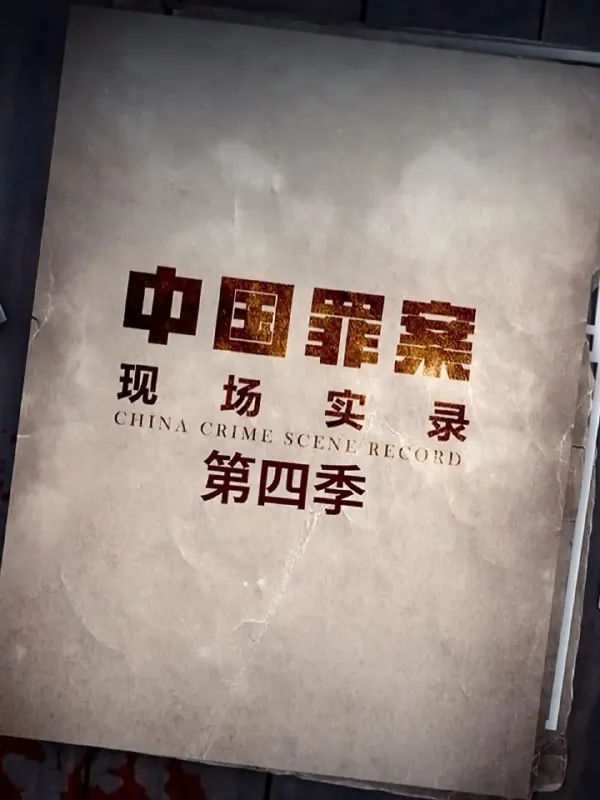 罪案现场实录第四季 电视剧