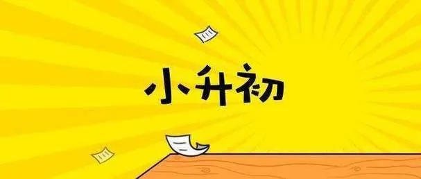2025年新版小升初语文总复习专项知识点46套 学习资料