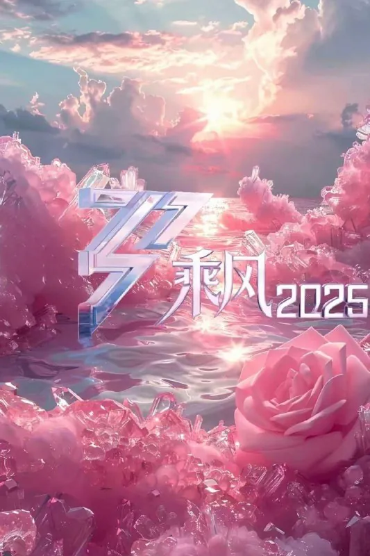 乘风2025 电视剧